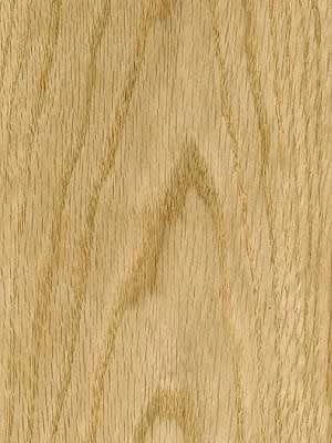 Oak American Red veneer